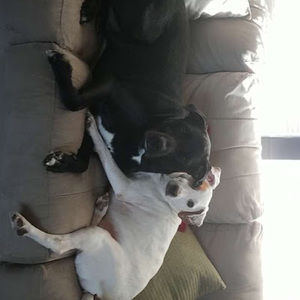 Meet your Posher, Alexandria